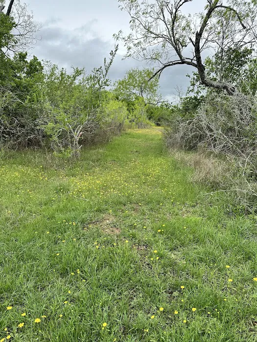 Nackte Picture 6