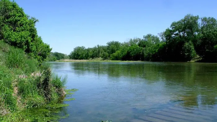Thousand Trails Colorado River Picture 4