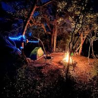 Lost Woods Campground ico