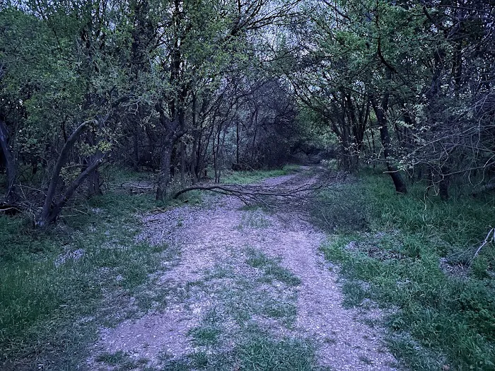 Lost Woods Campground Picture 3