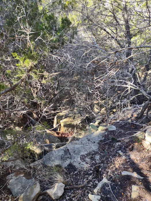 Pedernales Falls Horse Campground Picture 1