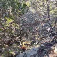 Pedernales Falls Horse Campground ico