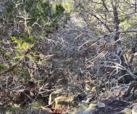 Pedernales Falls Horse Campground