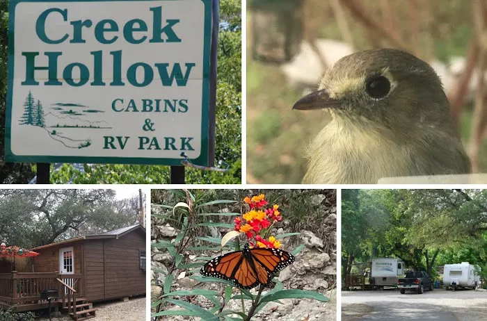 Creek Hollow Cabins & RV Park Picture 10