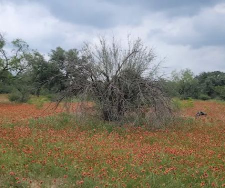 Pace Bend Improved Camping (RV)