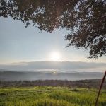 Pace Bend Park - Kate's/Johnson Cove
