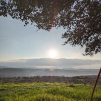Pace Bend Park - Kate's/Johnson Cove ico
