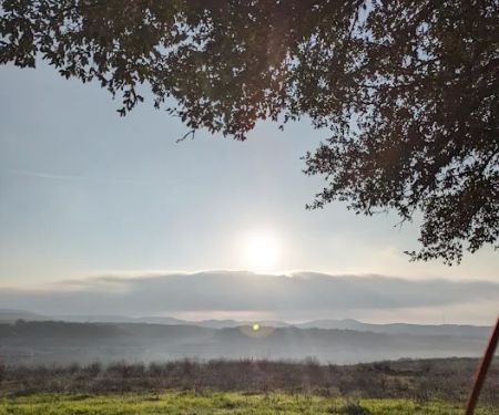 Pace Bend Park - Kate's/Johnson Cove