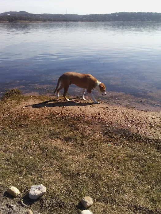 Pace Bend Park - Kate's/Johnson Cove Picture 9