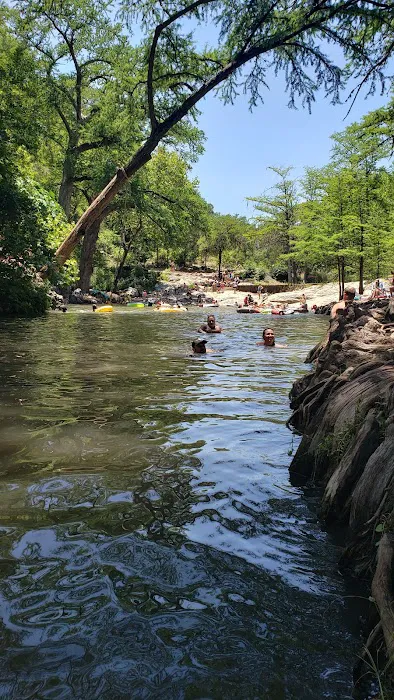 Krause Springs Picture 5