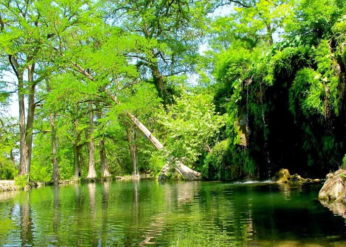 Krause Springs Picture 8