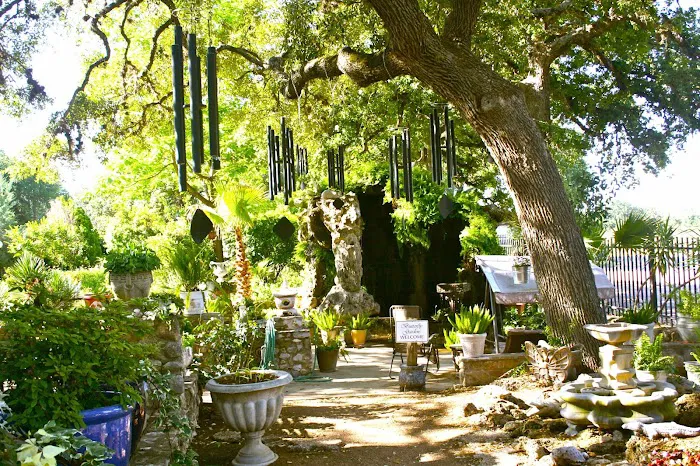 Krause Springs Picture 6