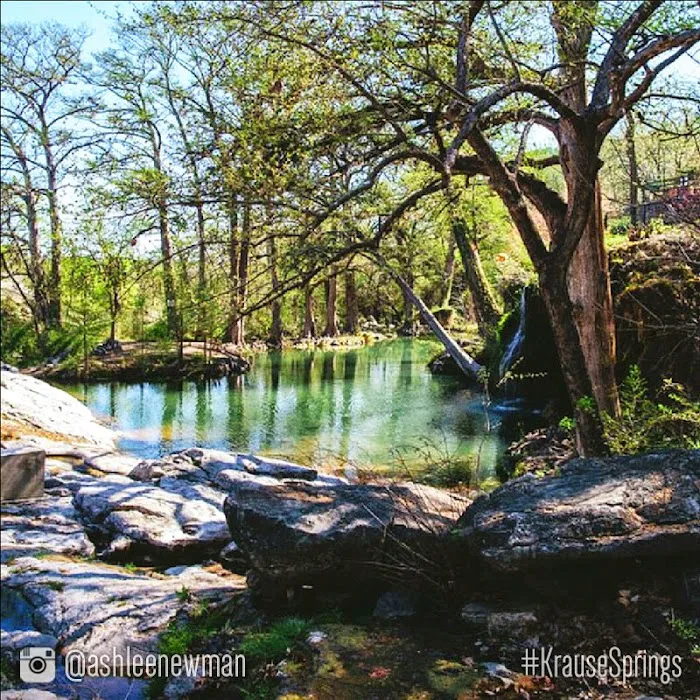 Krause Springs Picture 10