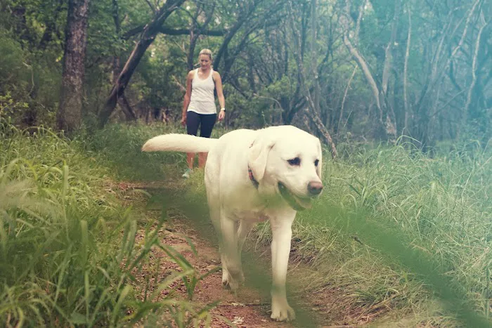 Grelle Recreation Area Picture 8