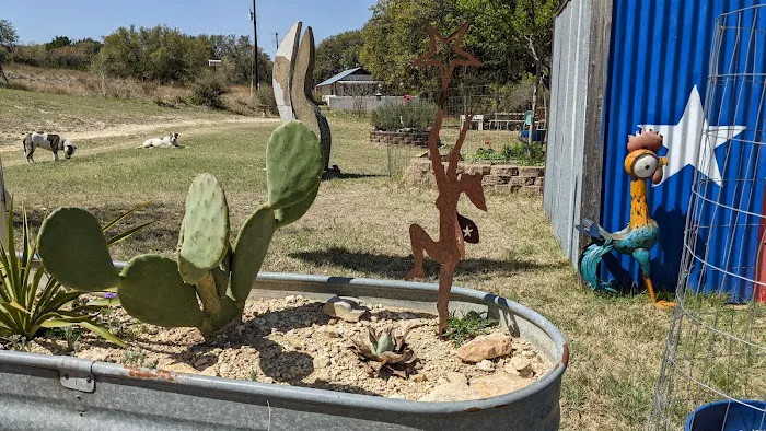 3 Dry Wells Ranch Picture 15