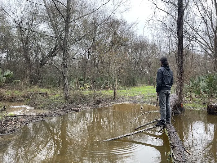 The Dam Spot Picture 3