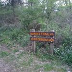 Birch Creek Campground