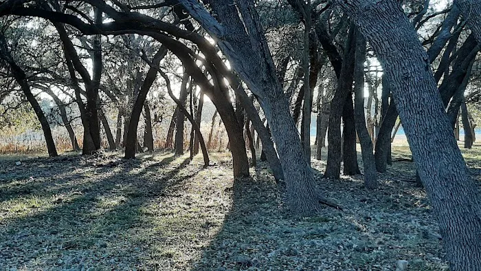 LMRV Park Picture 9