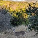 Boulderdash Cabin & RV Park