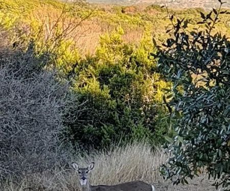 Boulderdash Cabin & RV Park