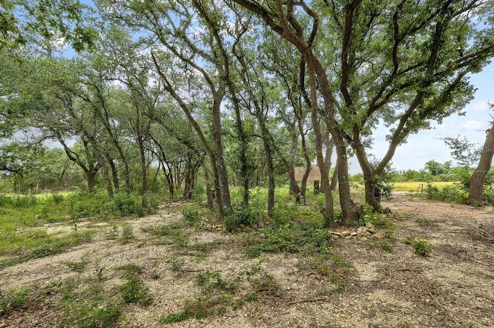 Wilderland Picture 5