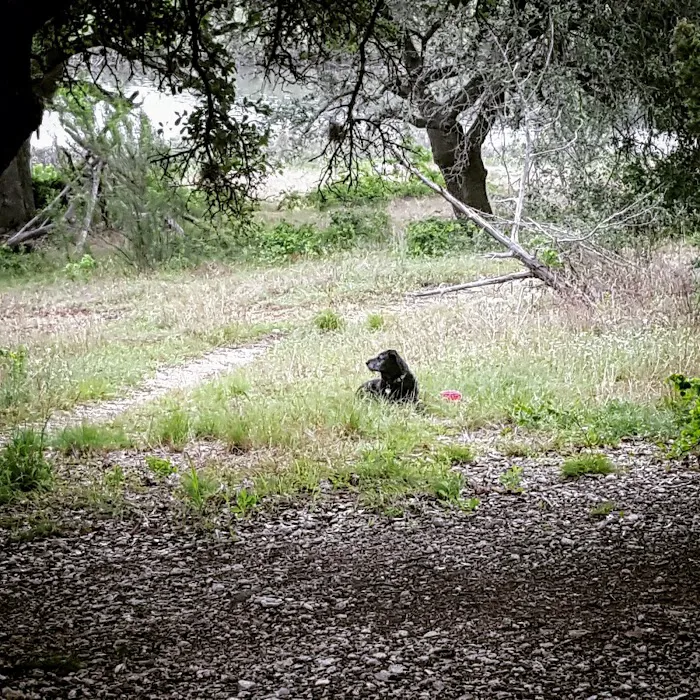 Cedar Hollow Camp Picture 7