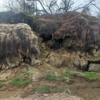 Campsite #004 ico