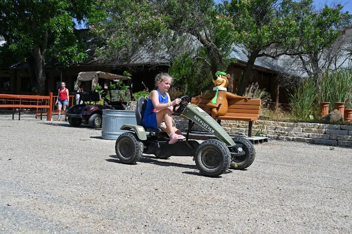 Texas Wine Country Jellystone Park Camp-Resort Picture 9