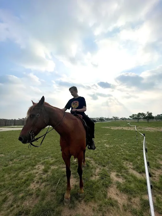 LaRock RV & Horse Camp Picture 2