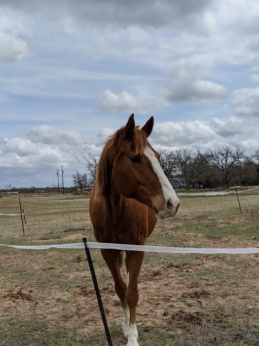 LaRock RV & Horse Camp Picture 4