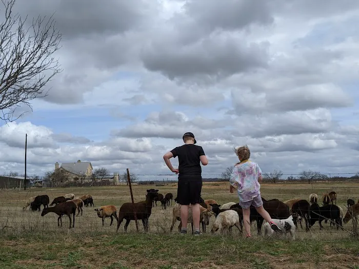 LaRock RV & Horse Camp Picture 1