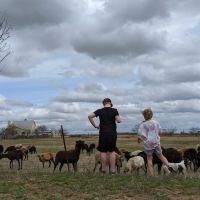 LaRock RV & Horse Camp ico