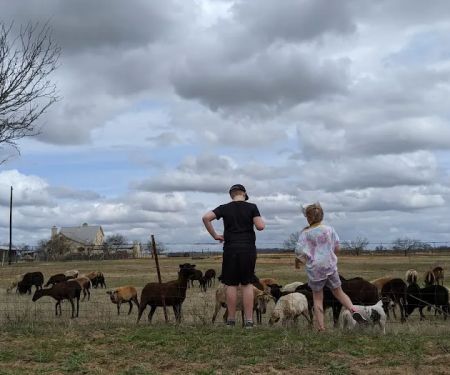 LaRock RV & Horse Camp