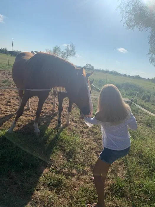 LaRock RV & Horse Camp Picture 7