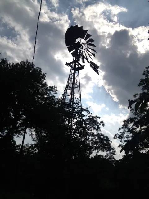 Pecan Grove Campground Picture 1