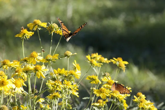 Memmie’s Farm Picture 4