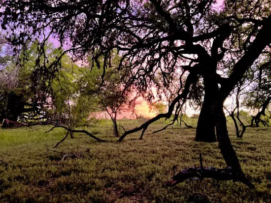 Memmie’s Farm Picture 10