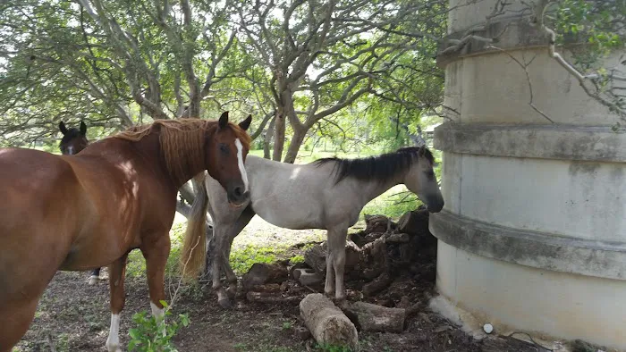 Everfree Shire Ranch Picture 2