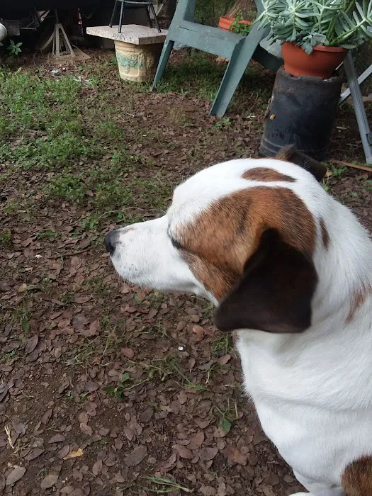 Granite Shoals Campgrounds Picture 8