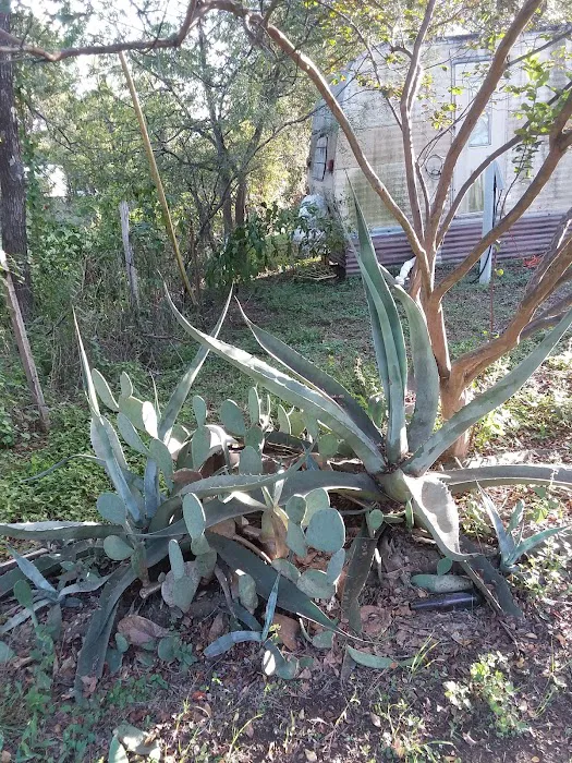 Granite Shoals Campgrounds Picture 7