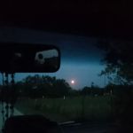 It’s a wendelful life ranch