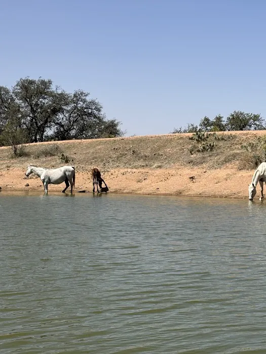 It’s a wendelful life ranch Picture 3