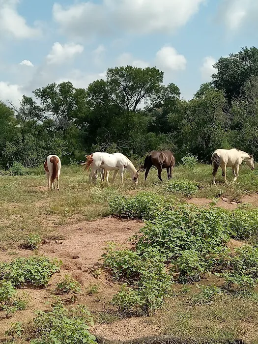 It’s a wendelful life ranch Picture 5