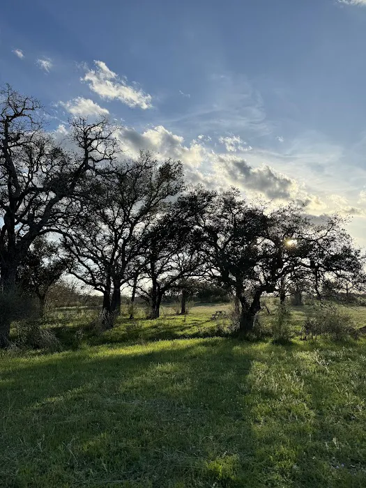 Oxford Ranch Campground Picture 4