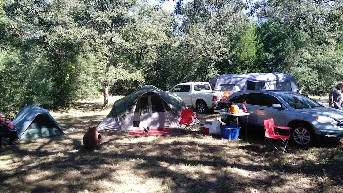 Tanglewood Hoya park Picture 1