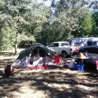 Tanglewood Hoya park ico