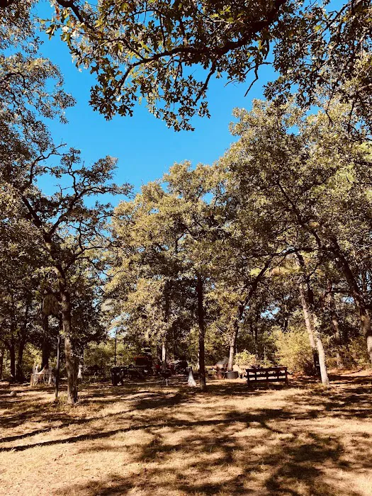 Tanglewood Hoya park Picture 9