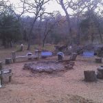 Texas Conference of Clubs