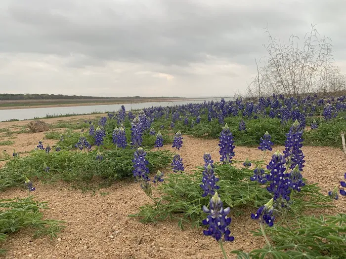 Beachcomber Park Picture 7