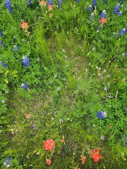 Atomic Ranch Picture 3